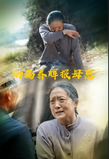 短剧《细雨春晖报母恩（30集）周婷&夏家顺》免费观看高清全集，完整版大结局：母女情终和解