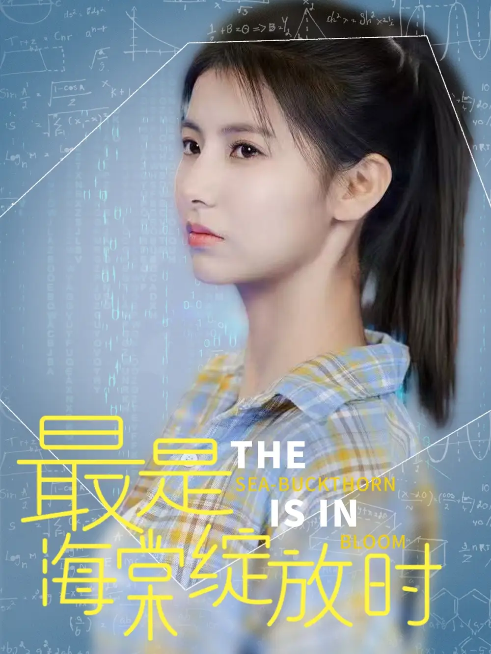 短剧《最是海棠绽放时（33集）邓恒健＆王槿》免费观看高清全集，完整版大结局：爱能否跨越阻碍