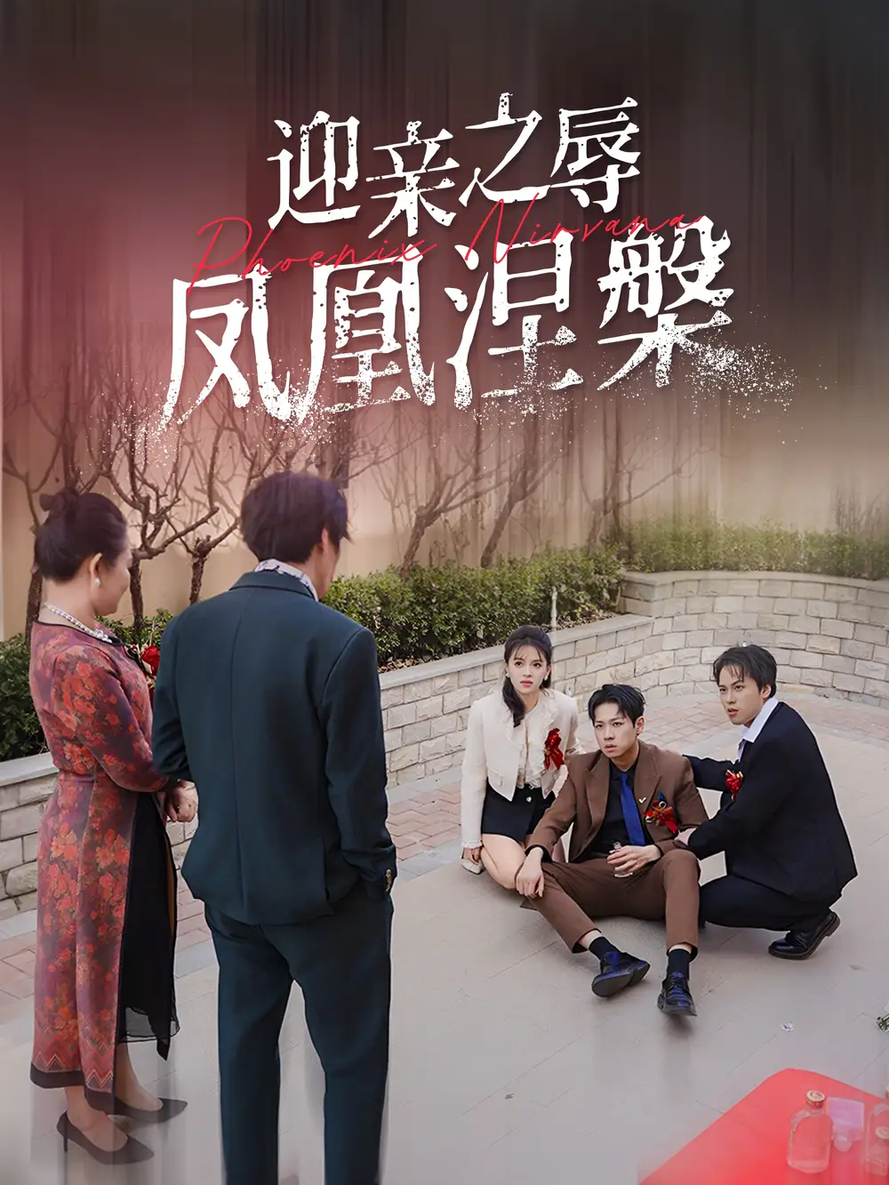 迎亲之辱凤凰涅槃（34集）