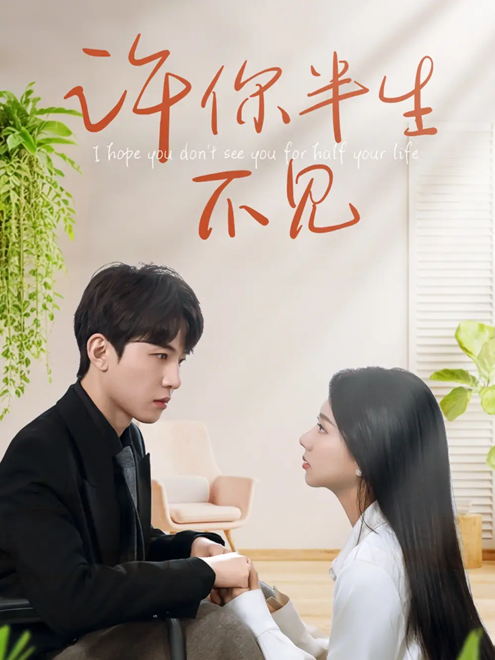 《许你半生不见》揭秘：刘一隆与杨子愉的终极命运