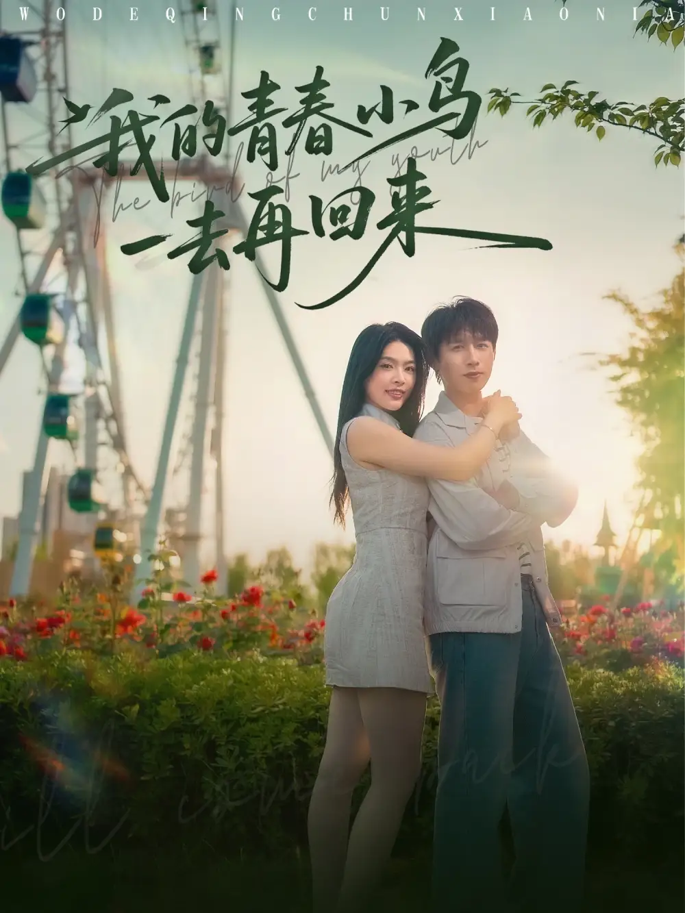 《我的青春小鸟一去再回来》95集全揭秘，严浩刘彦君瑞子王希如大结局！