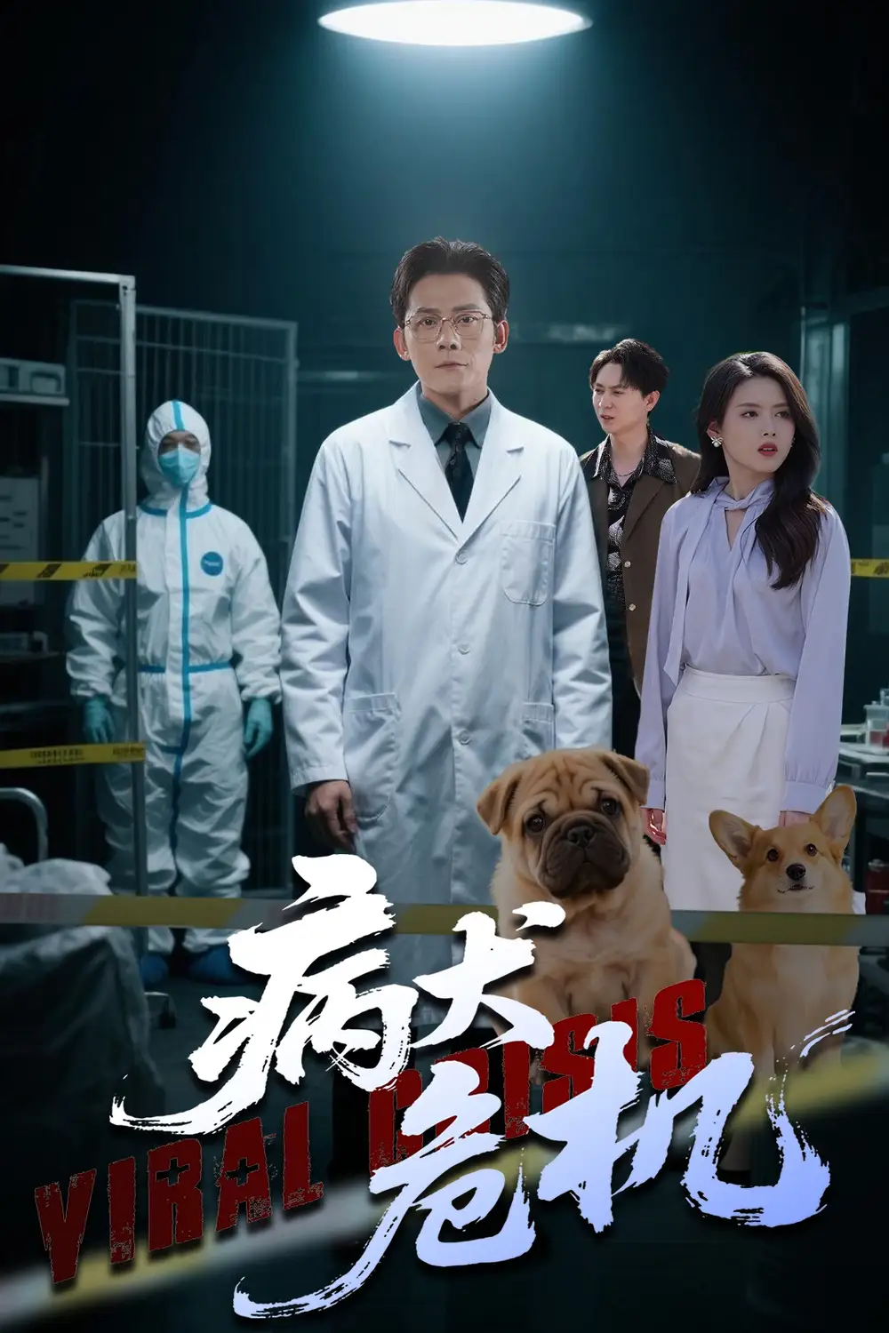 短剧《病犬危机（68集）》张浩南&彭娜莎，免费高清全集大结局揭秘！
