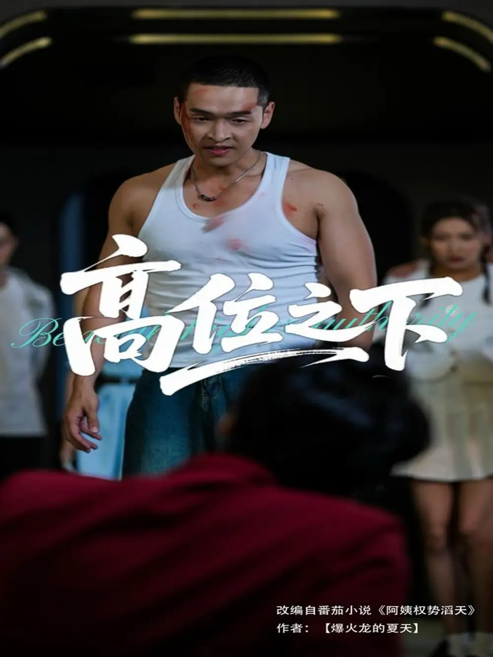 短剧《高位之下（65集）张家嘉&赵龙》免费观看高清全集，揭秘权力游戏背后真相