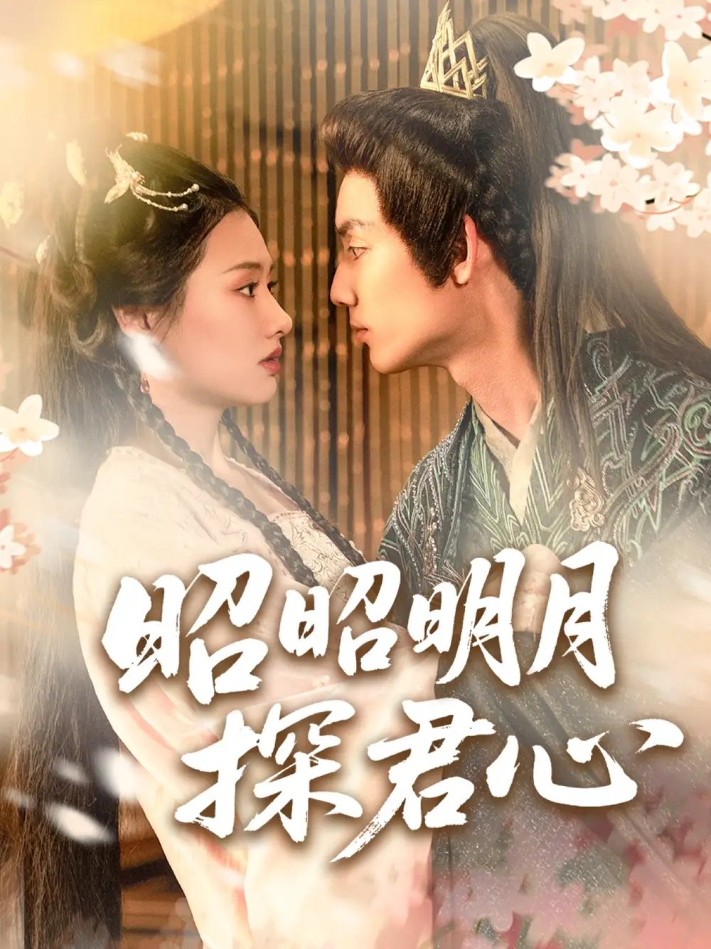 短剧《昭昭明月探君心林永炬》高清完整版全集免费在线观看