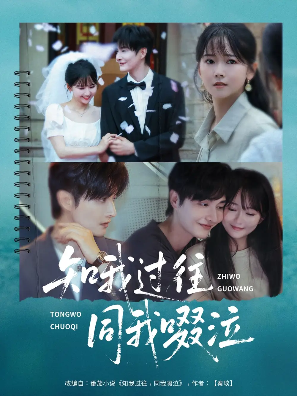 短剧《知我过往同我啜泣王雅淇》高清完整版全集免费在线观看
